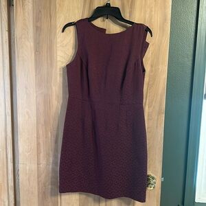 The Limited Petite Dress Size 8